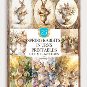 May include: A framed print featuring watercolor illustrations of rabbits in ornate urns filled with flowers. The artwork has a vintage aesthetic, with a central text that reads "SPRING RABBITS IN URNS PRINTABLES DIGITAL DOWNLOADS". The image is framed in a wooden border.
