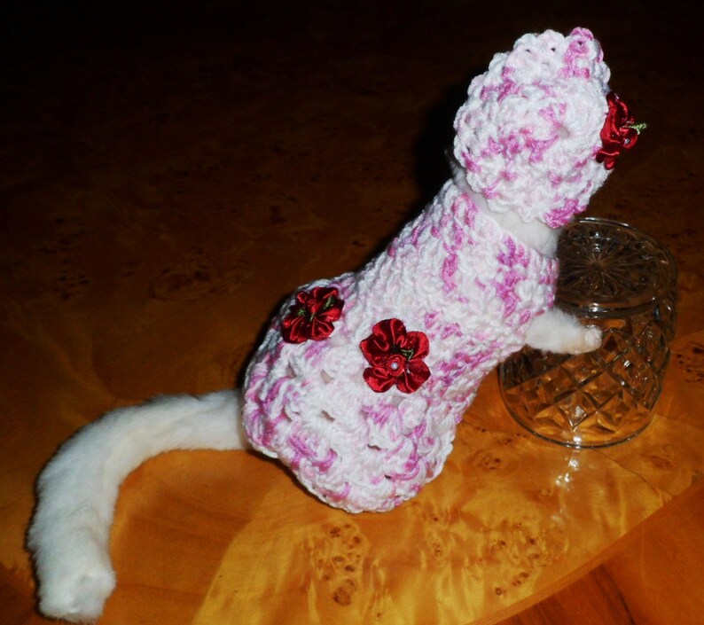 FERRET DRESS and HAT.