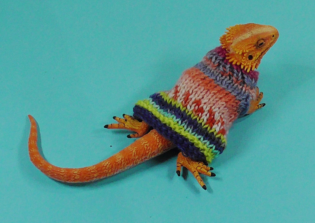 BEARDED DRAGON SWEATERS Etsy