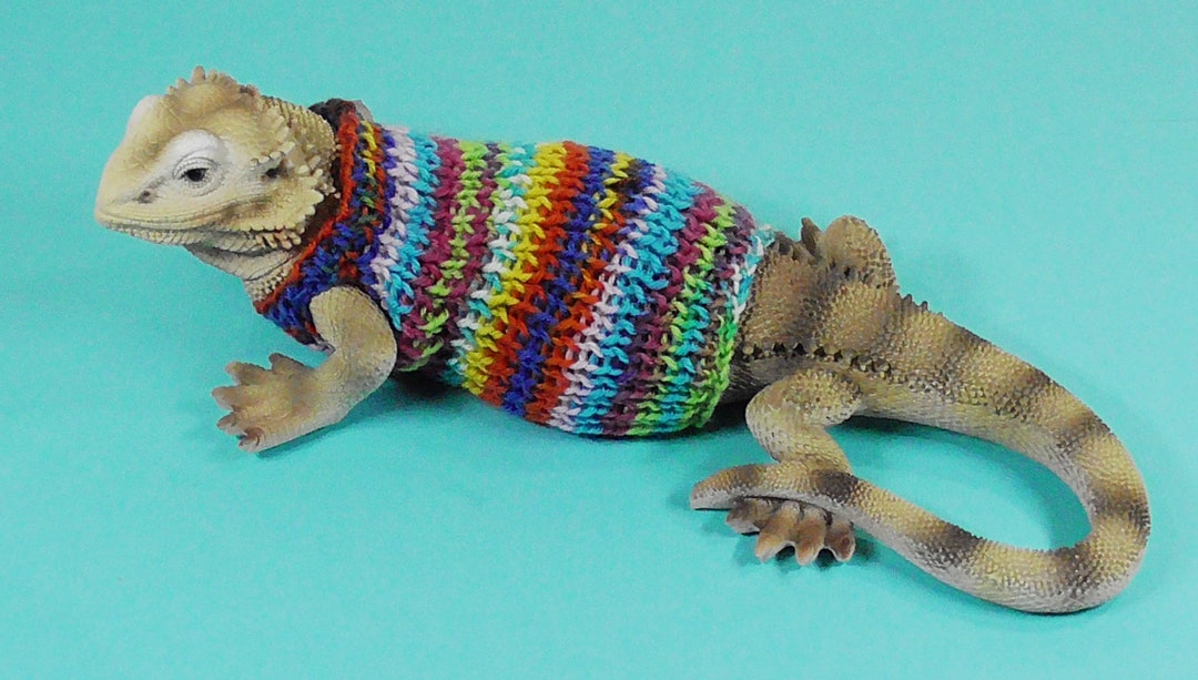 BEARDED DRAGON SWEATER, Full Size. Etsy