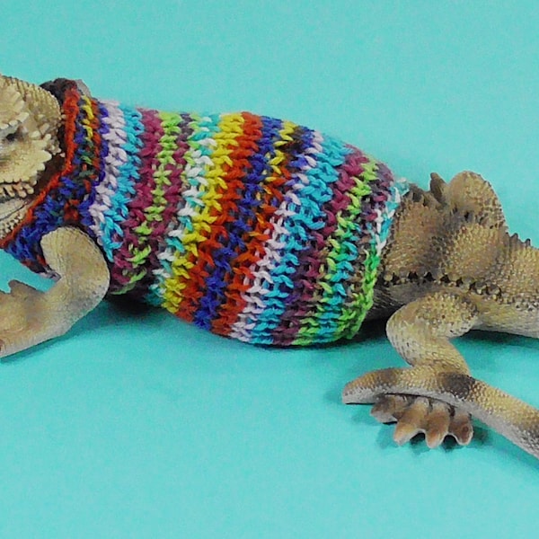 Bearded Dragon Sweater Etsy