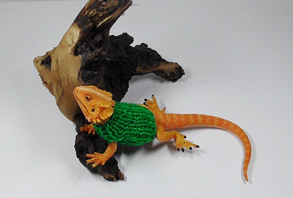 lizard sweater