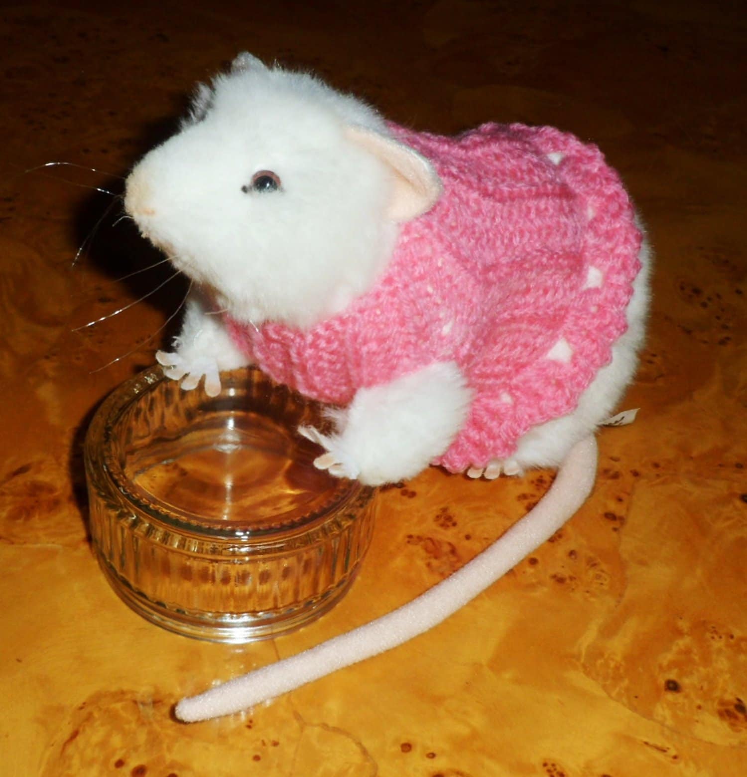 rat in a dress