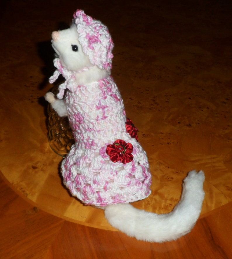 FERRET DRESS and HAT.