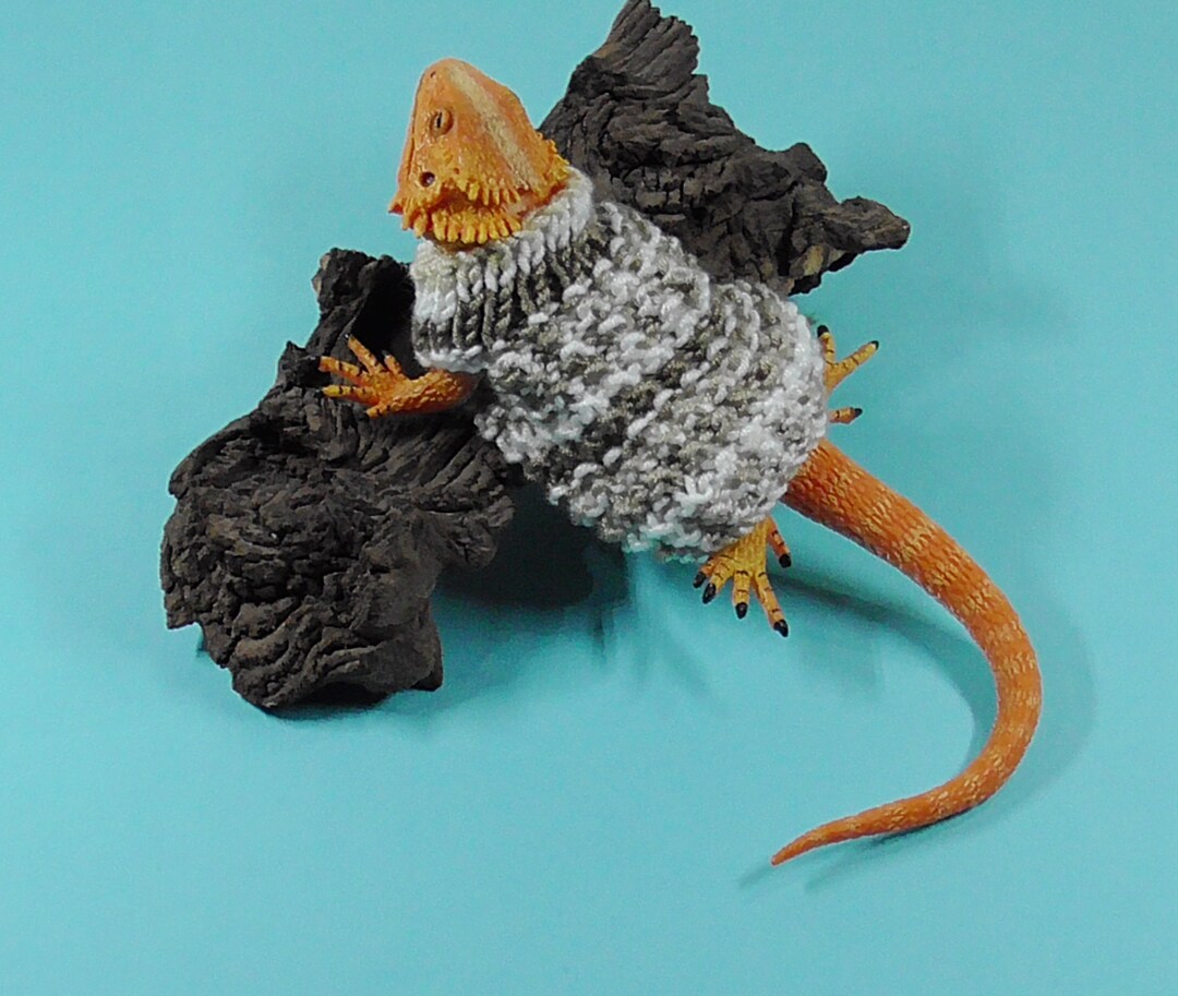 BEARDED DRAGON SWEATERS Etsy