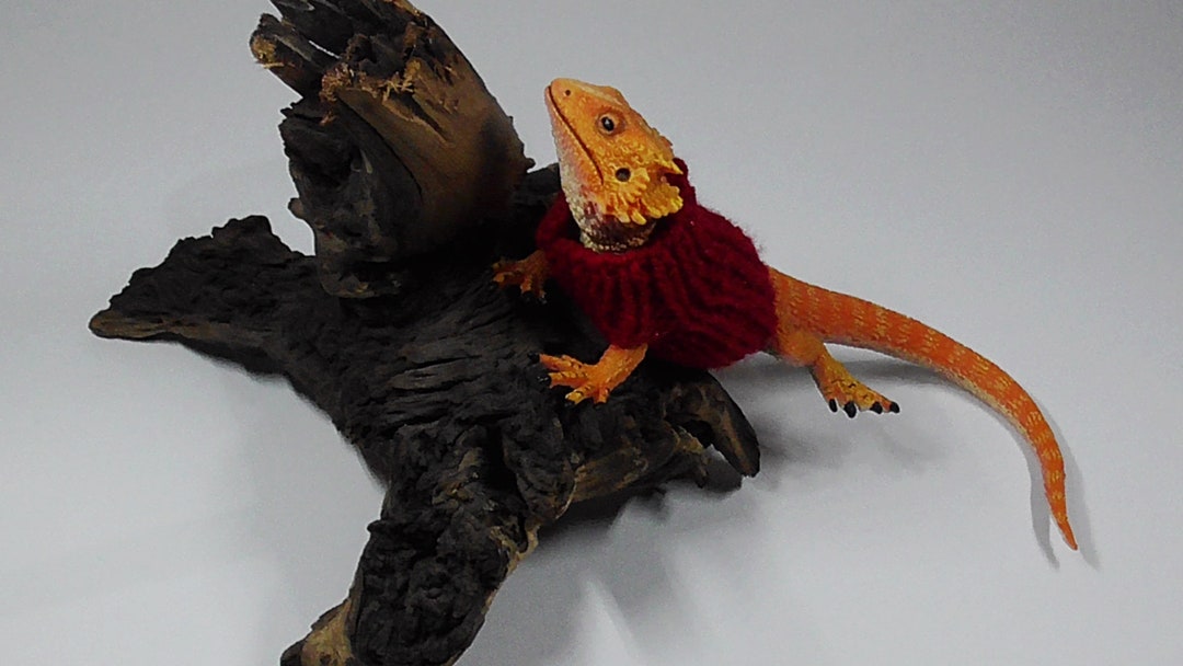 BEARDED DRAGON SWEATER, Juvenile. Etsy