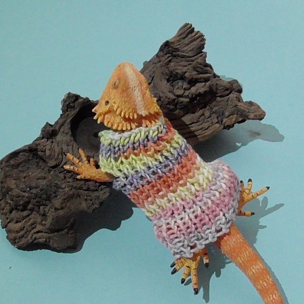 Bearded Dragon Etsy UK