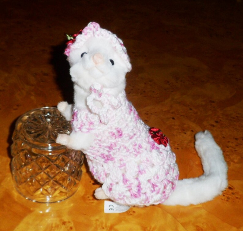 FERRET DRESS and HAT.