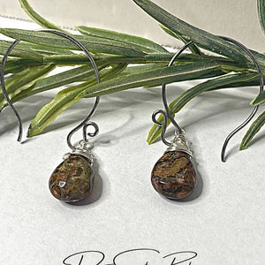 May include: A pair of silver wire wrapped earrings with brown and red jasper teardrop shaped stones.