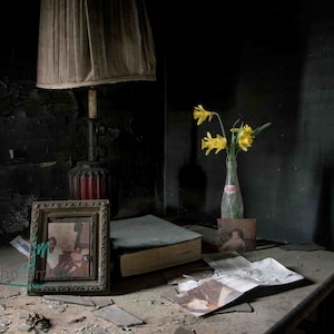 Fotografia de belas artes, Decadência urbana, Casa abandonada, Decoração de parede, Decoração de casa, Abandonado, Impressão de belas artes, Casa de fazenda, Natureza morta, porta-retratos