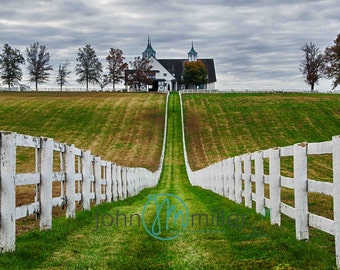 Manchester, Throughbred Horse , Kentucky Horse Farm, Farm, Fence, Plank Fence, Horse Farm, Kentucky, Fine Art Print, Photography, Art Print