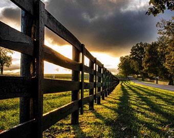 Country Sunrise, Farm, Fence, Rural, Shadow, Plank Fence, Horse Farm, Kentucky, Fine Art Print, Photography, Art Print