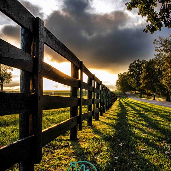 Country Sunrise, Farm, Fence, Rural, Shadow, Plank Fence, Horse Farm, Kentucky, Fine Art Print, Photography, Art Print