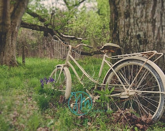 Bicycle Art, Bike Print,  Bicycle Print,  Bicycle Art, Bicycle Wall Art, Bicycle Home Decor, Bike Art, Bike Home Decor, Nature, Art