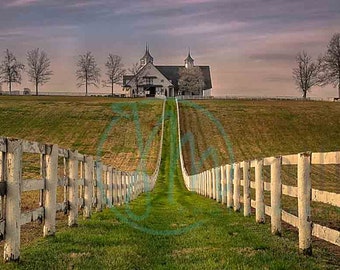 Kentucky, Horse Farm, Throughbred Horse , Fence, Fine Art Print, Photography, Art Print