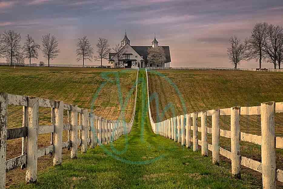 Kentucky, Horse Farm, Throughbred Horse , Fence, Fine Art Print, Photography, Art Print