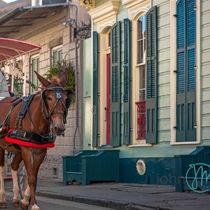 St. Louis Cathedral, New Orleans Louisiana, Print, New Orleans Photograph, French Quarter Art, Fine Art Print