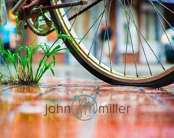 Bicycle Art, New Orleans Photography, Bike Print, New Orleans Art Print,  Bicycle (Bike) Wall Art, Bicycle (Bike) Home Decor,