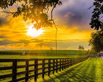 Country Sunrise, Farm, Fence, Rural, Shadow, Plank Fence, Horse Farm, Kentucky, Fine Art Print, Photography, Art Print