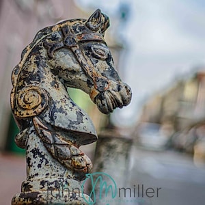 Horse Hitch, Nueva Orleans, Barrio Francés, Impresión de Bellas Artes, Arte del Barrio Francés, Arte de Nueva Orleans