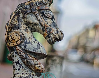 Horse Hitch, New Orleans, French Quarter,  Fine Art Print,  French Quarter Art, New Orleans Art