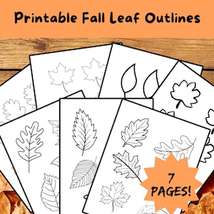 Op de afbeelding: Zeven afdrukbare pagina's met zwart-witte contouren van herfstbladeren. De tekst "Printable Fall Leaf Outlines" staat bovenaan, met "7 Pages!" in een stervorm. De bladeren worden weergegeven op een houten achtergrond.