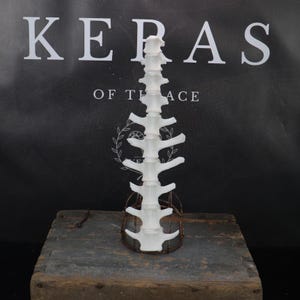 Long Weathered Goat Spine!