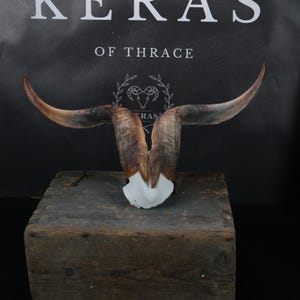 Real Goat Horns!