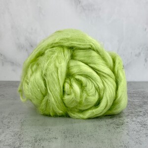 Tussah Silk Combed Tops - Chlorophyll Green