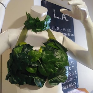 Poison Ivy Costume, Eve costume, Mother nature, Woodland fairy, pixie Custom made