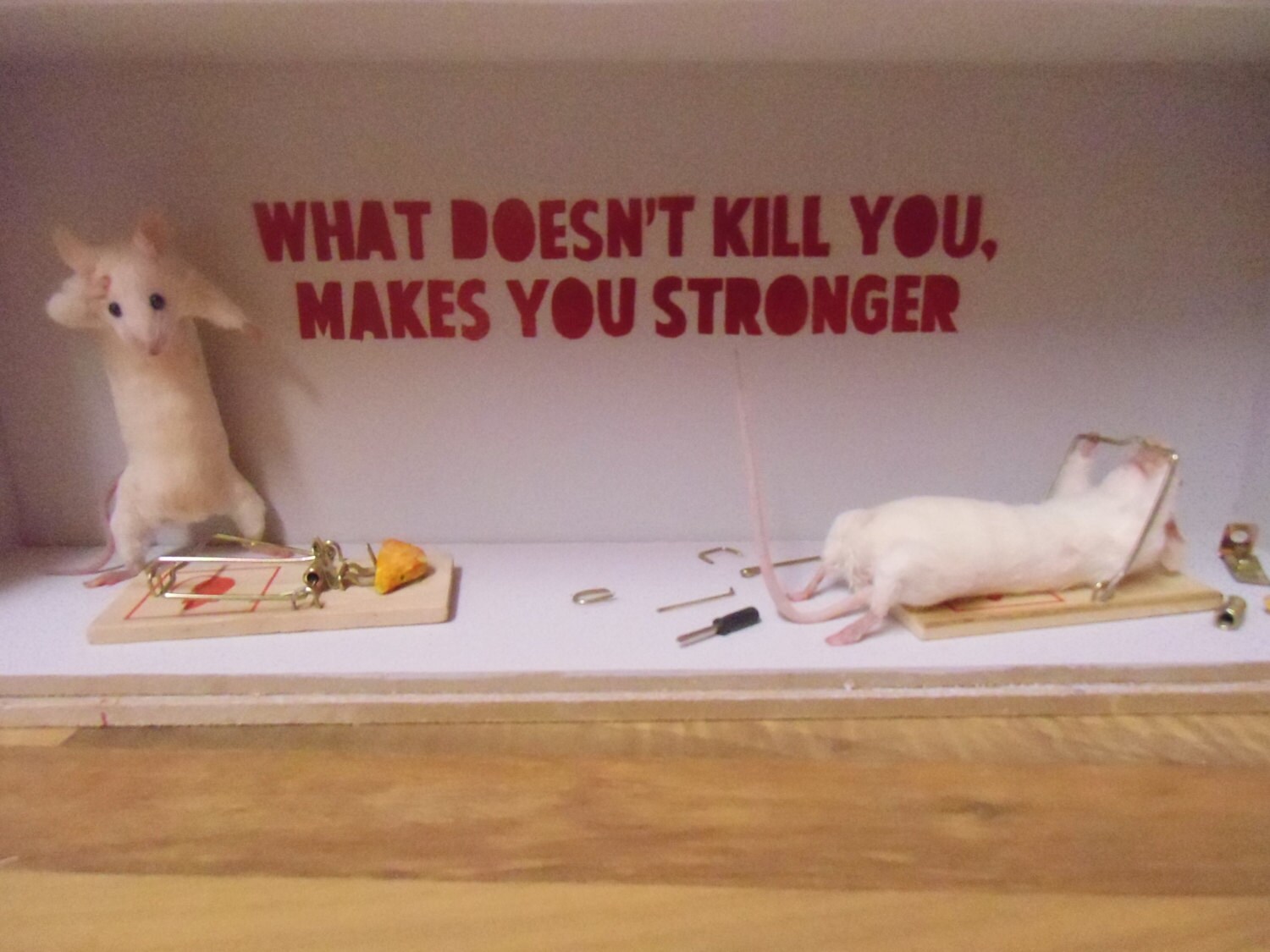 What doesn't kill you makes you stronger. Free shipping Etsy