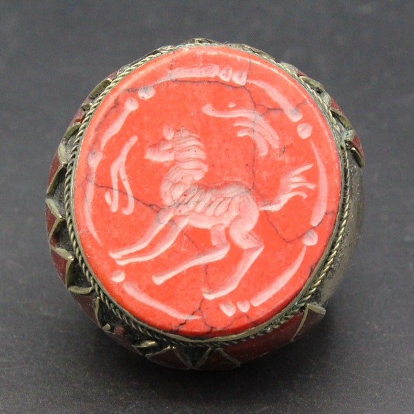 Horse Belly Ring Etsy