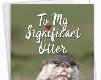 Humorous Birthday Greeting Card with 5 x 7 Inch Envelope (1 Card)  BdaySignificant Otters