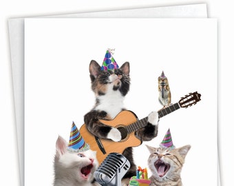 Birthday Greeting Card with Envelope (1 Card) Bday Animal Bands - Cats, For Him For Her