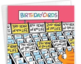 Funny Birthday Greeting Card with 5 x 7 Inch Envelope (1 Card) Bday Cat Lives - Feline at Complicated Life Greeting Card Store Display