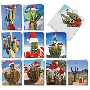 The Best Card Company Cats Antics 4 x 5.12 Inch - Playful Winter Kitties AM3195XSG-B2x10 20 Assorted Boxed Merry Christmas Note Cards with Envelopes The Best Card Company Cats Antics 4 x 5.12 Inch - Playful Winter Kitties AM3195XSG-B2x10 20 Assorted Boxed Merry Christmas Note Cards with Envelopes