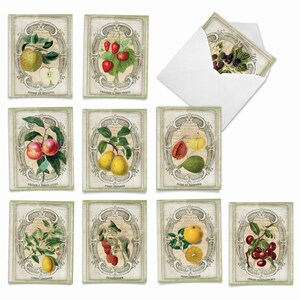 10 Assorted Blank All Occasions Notes Packed Set 4 x 5.12 Inch w/ Envelopes (10 Designs, 1 Each) French Fruit, For Him For Her