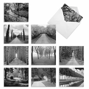 May include: A set of 9 black and white greeting cards featuring different scenic views of long, tree-lined roads and paths.