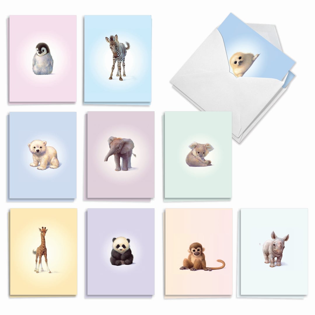 20 Assorted Blank Note Cards Bulk Bulk Pack 4 X 5.12 Inch With Etsy