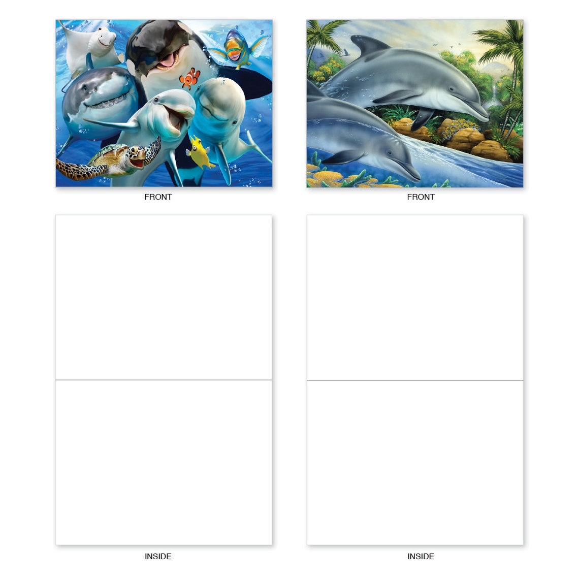 Dolphin-themed Note Cards With Envelopes box of 10 Assorted | Etsy