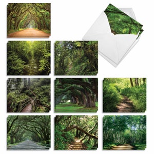 20 Assorted Blank Notes Bulk Bulk Pack 4 x 5.12 Inch with Envelopes (10 Designs2 Each)  Nature Trails