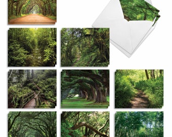 20 Assorted Blank Notes Bulk Bulk Pack 4 x 5.12 Inch with Envelopes (10 Designs2 Each)  Nature Trails