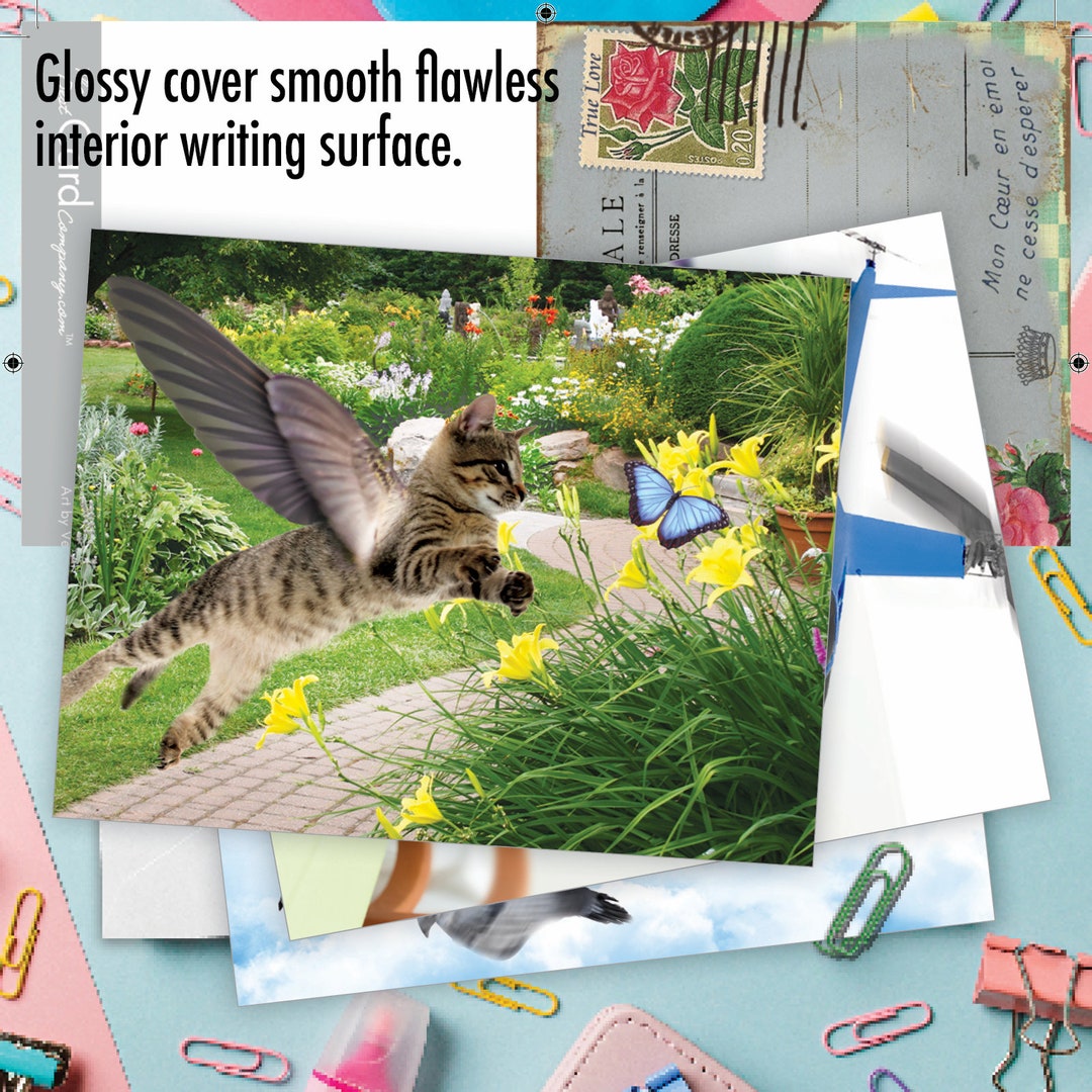 10 Assorted Blank Note Cards Set 4 X 5.12 Inch With Envelopes (10 ...