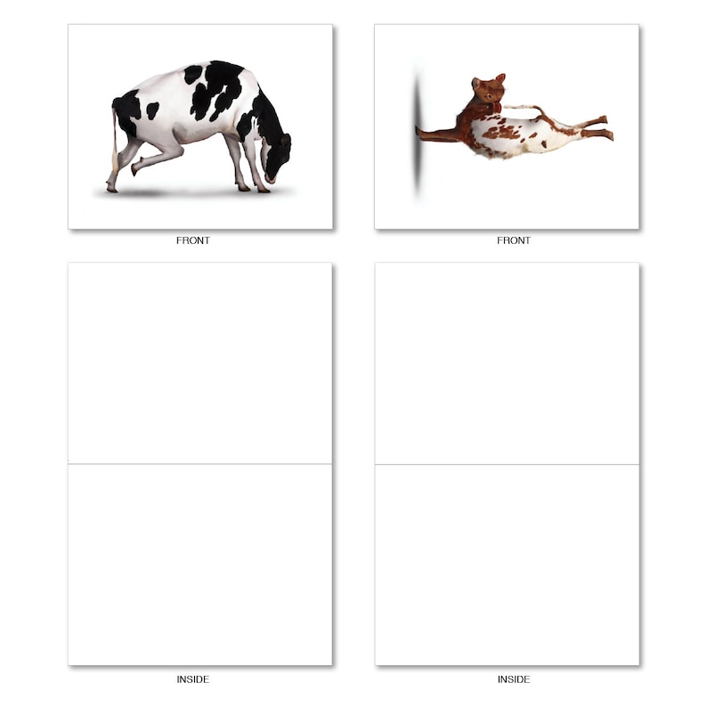 10 Assorted Blank Note Cards Bulk Box Set 4 X 5.12 Inch With Etsy
