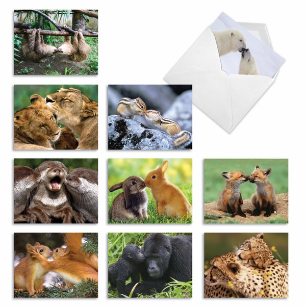10 Assorted Blank Notecards Bulk Set 4 x 5.12 Inch w/ Envelopes (10 Designs, 1 Each) ANIMAL SMACKERS, For Him For Her