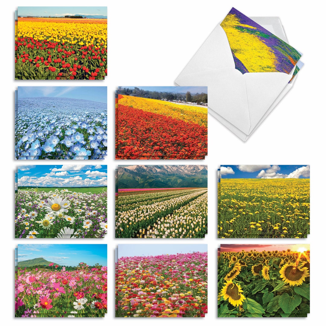 20 Assorted Blank Notecards Bulk Pack 4 X 5.12 Inch With Envelopes (10 ...