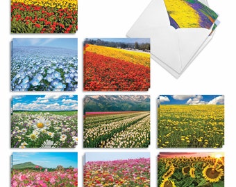 20 Assorted Blank Notecards Bulk Pack 4 x 5.12 Inch with Envelopes (10 Designs2 Each)  Super Blooms