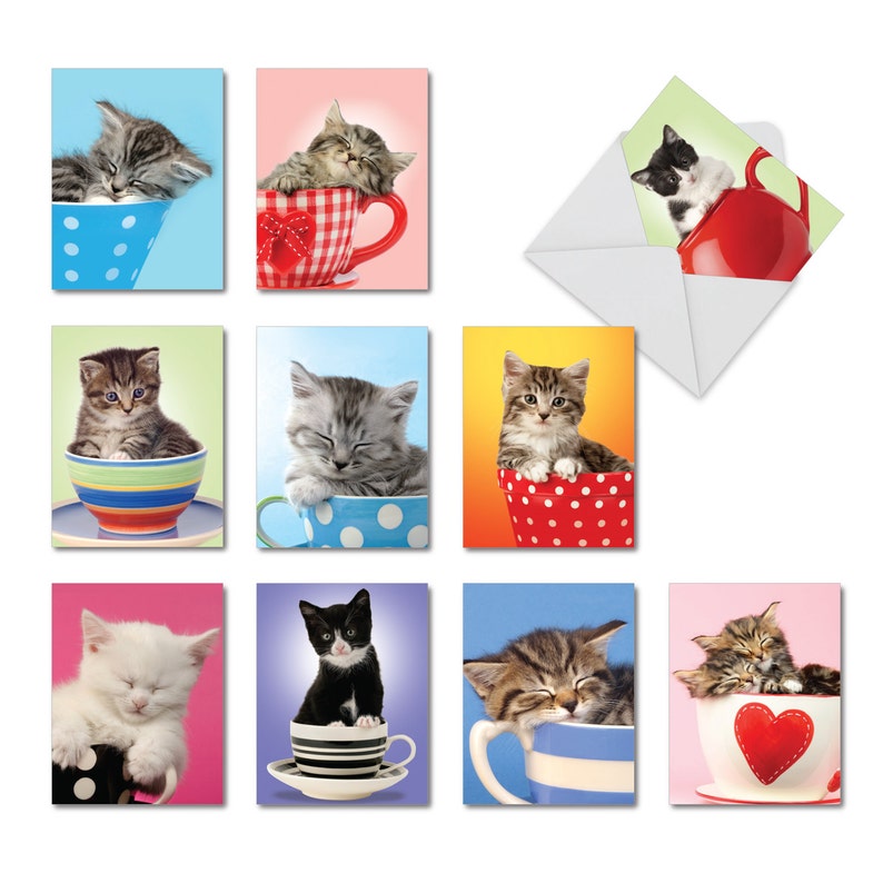 M3969 Cupcats 10 Blank Note Cards With Assorted Designs for Etsy