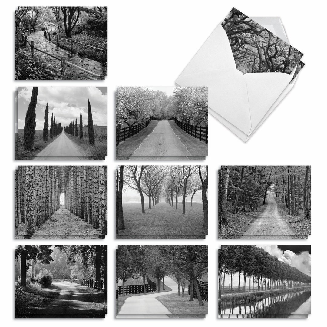 20 Assorted Blank Notecards Bulk Bulk Pack 4 X 5.12 Inch With Envelopes ...
