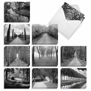 20 Assorted Blank Notecards Bulk Bulk Pack 4 x 5.12 Inch with Envelopes (10 Designs2 Each)  Tree Lines